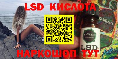 шишки Ставрополь