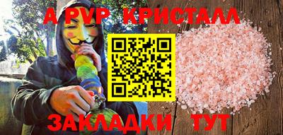 шишки Ставрополь
