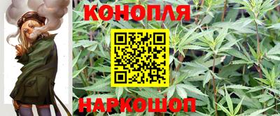 шишки Ставрополь