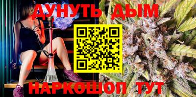 шишки Ставрополь