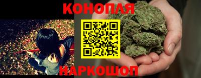 шишки Ставрополь