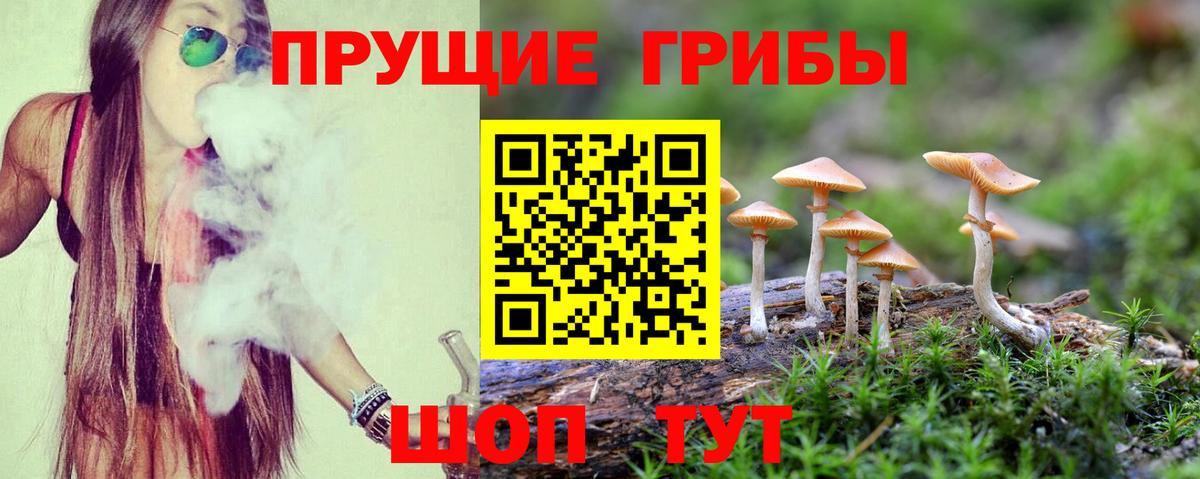 Новосибирск  Галлюциногенные грибы мухоморы  Вход с VPN  Галлюциногенные грибы MAGIC MUSHROOMS 